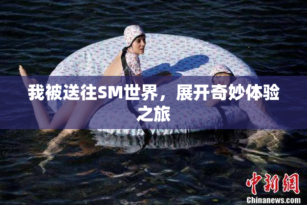 我被送往SM世界，展开奇妙体验之旅