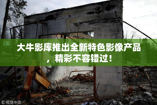 大牛影库推出全新特色影像产品，精彩不容错过！
