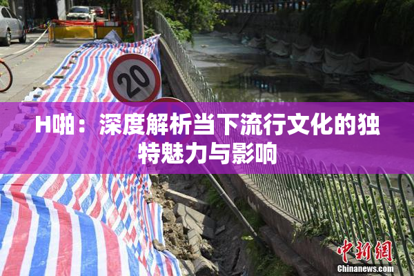 H啪：深度解析当下流行文化的独特魅力与影响