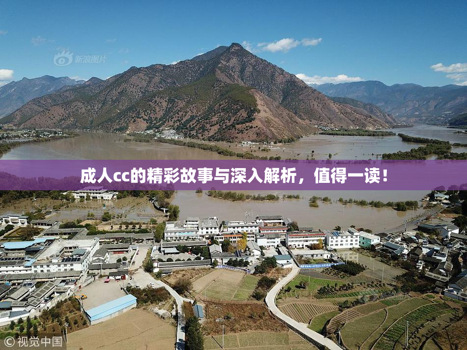 成人cc的精彩故事与深入解析，值得一读！