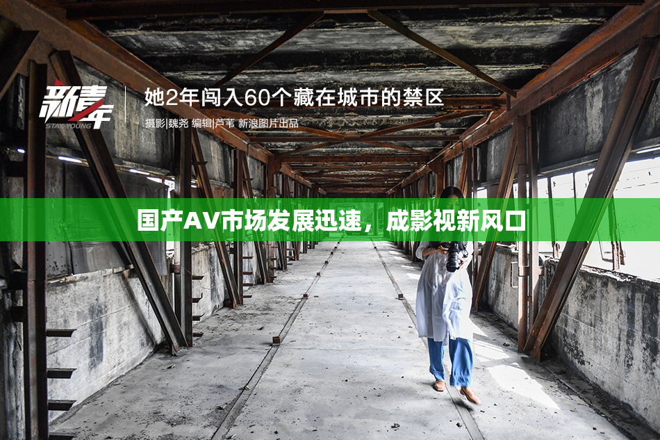 国产AV市场发展迅速，成影视新风口