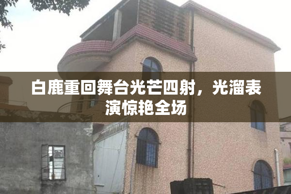 白鹿重回舞台光芒四射，光溜表演惊艳全场