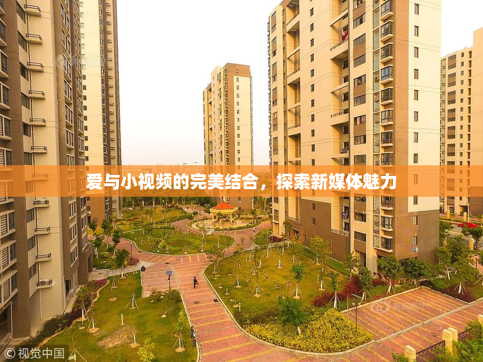 爱与小视频的完美结合，探索新媒体魅力