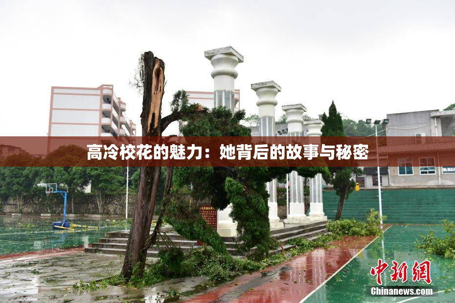 高冷校花的魅力：她背后的故事与秘密