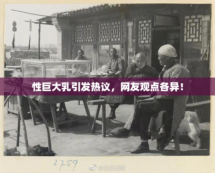 性巨大乳引发热议，网友观点各异！