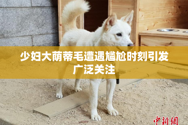 少妇大荫蒂毛遭遇尴尬时刻引发广泛关注