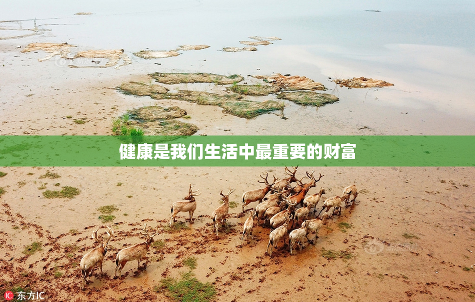 健康是我们生活中最重要的财富