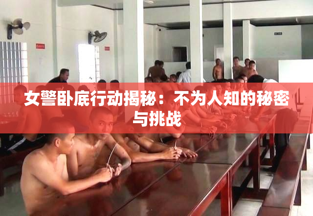 女警卧底行动揭秘：不为人知的秘密与挑战