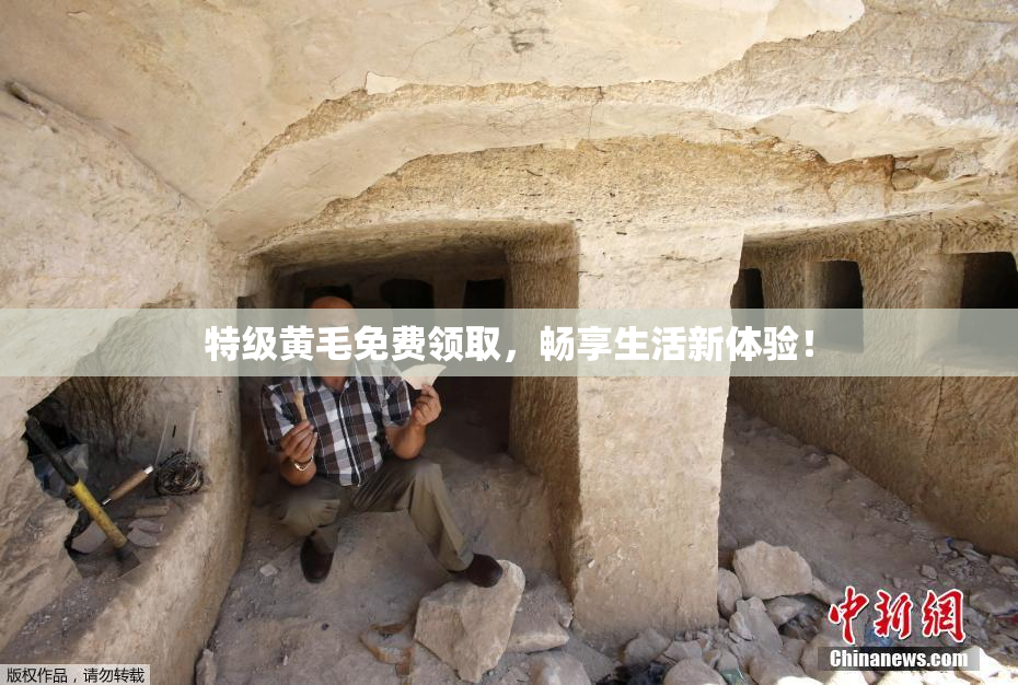 特级黄毛免费领取，畅享生活新体验！