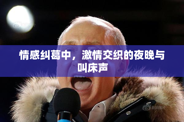 情感纠葛中，激情交织的夜晚与叫床声