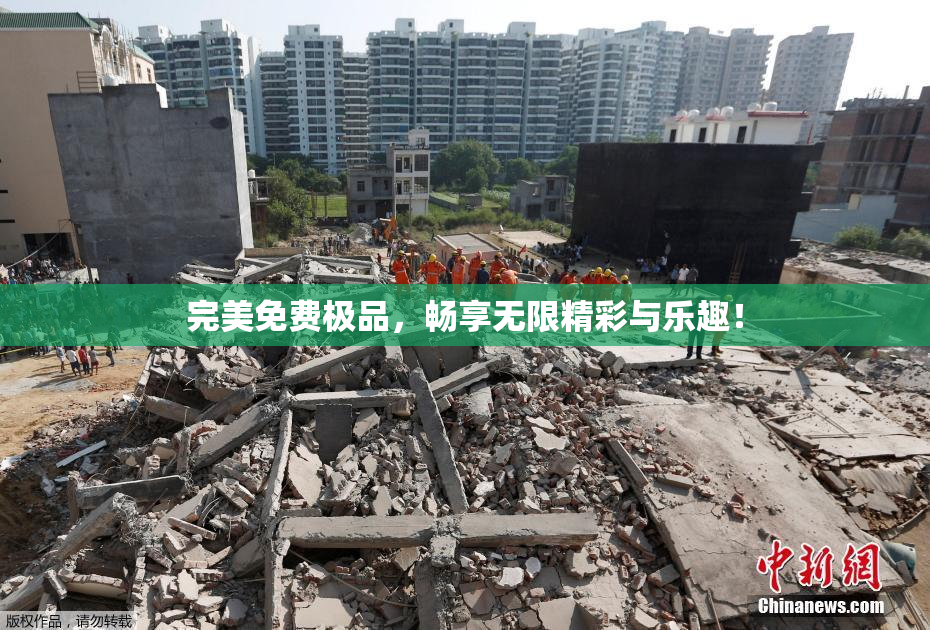 完美免费极品，畅享无限精彩与乐趣！