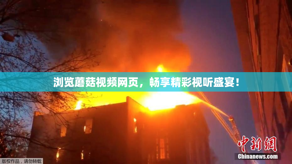 浏览蘑菇视频网页，畅享精彩视听盛宴！