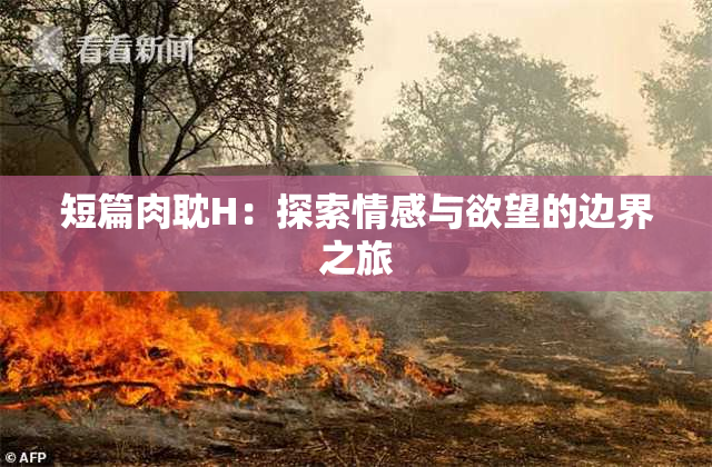 短篇肉耽H：探索情感与欲望的边界之旅