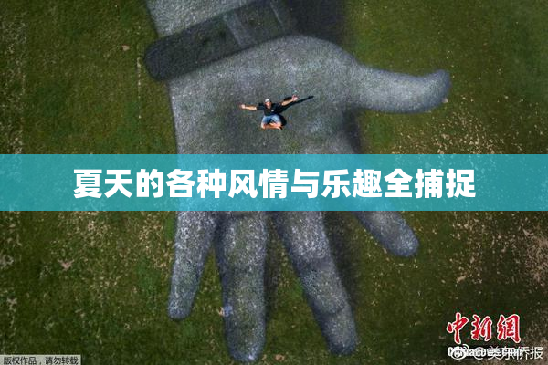 夏天的各种风情与乐趣全捕捉