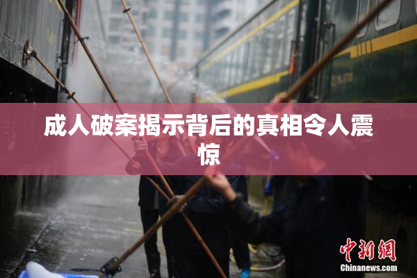 成人破案揭示背后的真相令人震惊