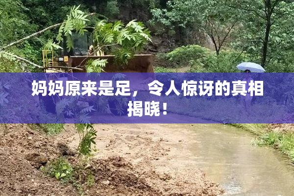 妈妈原来是足，令人惊讶的真相揭晓！