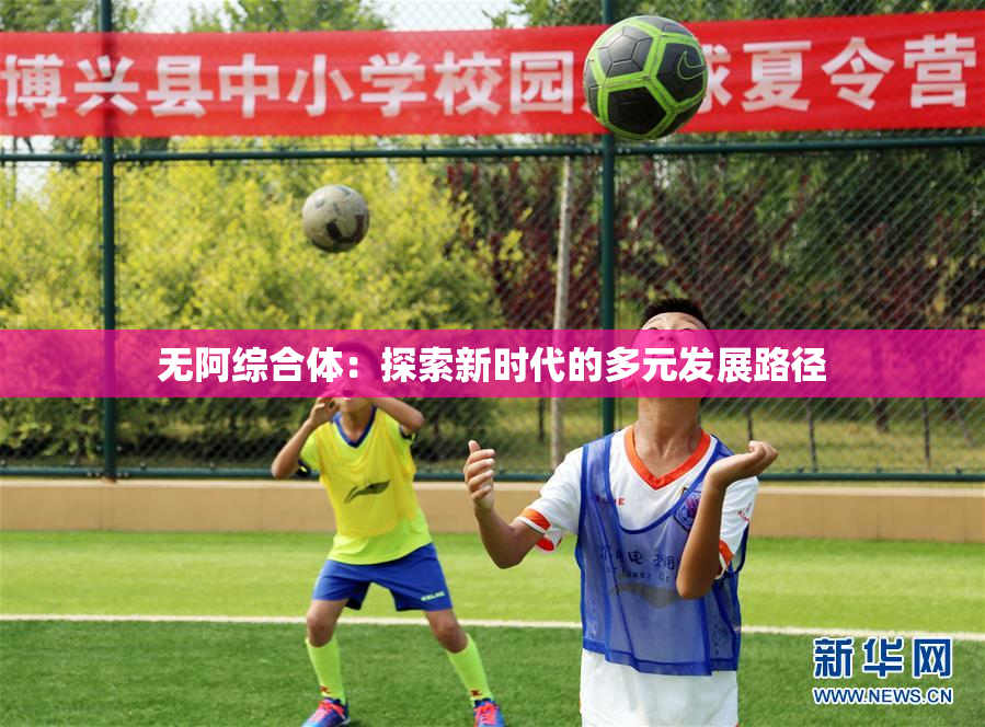 无阿综合体：探索新时代的多元发展路径