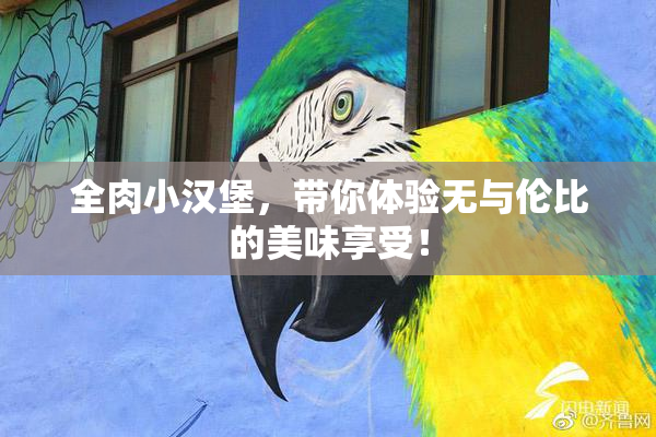 全肉小汉堡，带你体验无与伦比的美味享受！