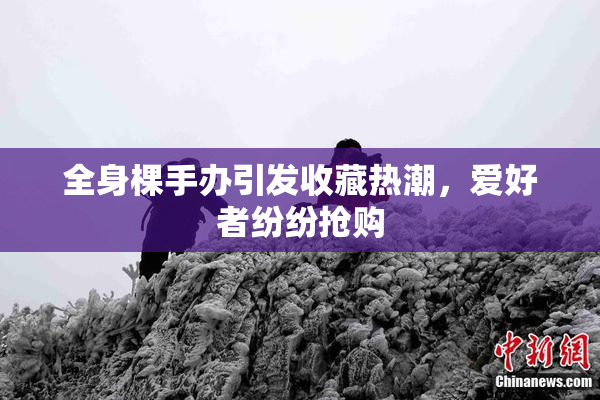 全身棵手办引发收藏热潮，爱好者纷纷抢购