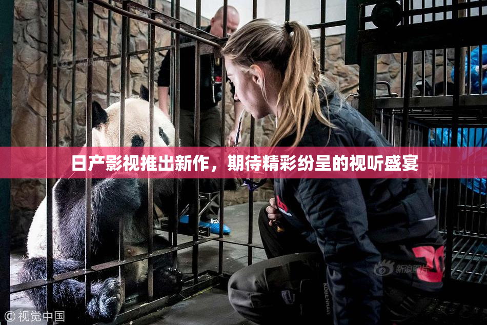 日产影视推出新作，期待精彩纷呈的视听盛宴