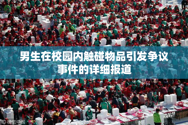 男生在校园内触碰物品引发争议事件的详细报道
