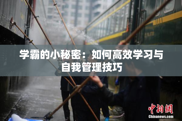 学霸的小秘密：如何高效学习与自我管理技巧