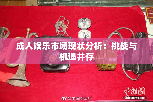 成人娱乐市场现状分析：挑战与机遇并存