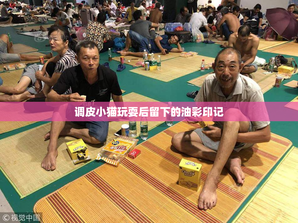 调皮小猫玩耍后留下的油彩印记