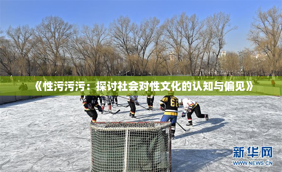 《性污污污：探讨社会对性文化的认知与偏见》