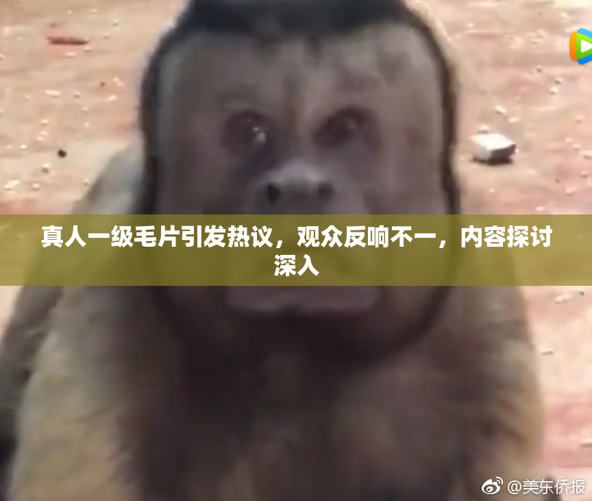 真人一级毛片引发热议，观众反响不一，内容探讨深入