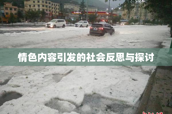 情色内容引发的社会反思与探讨