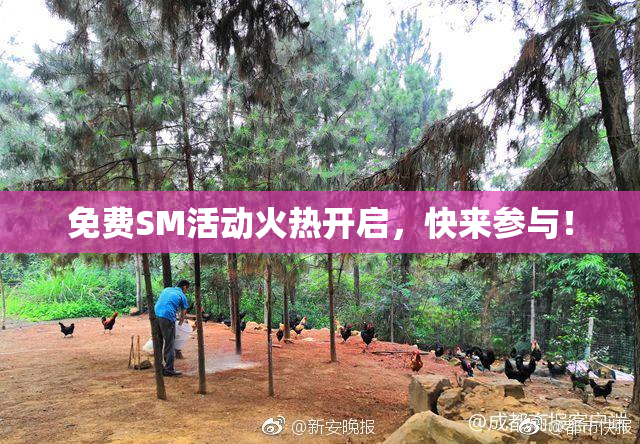免费SM活动火热开启，快来参与！