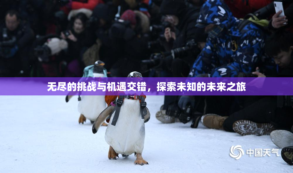 无尽的挑战与机遇交错，探索未知的未来之旅