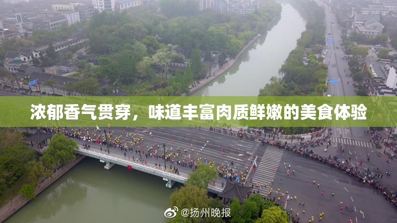 浓郁香气贯穿，味道丰富肉质鲜嫩的美食体验