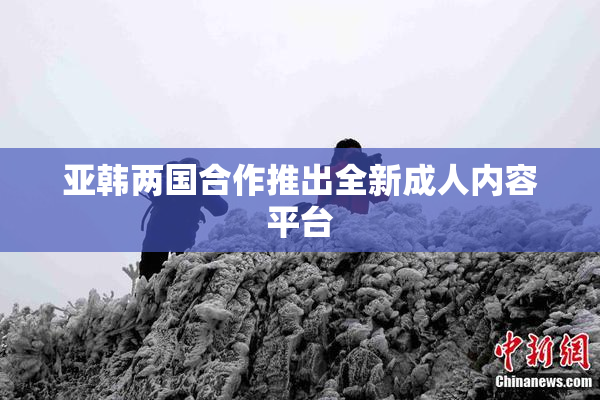 亚韩两国合作推出全新成人内容平台