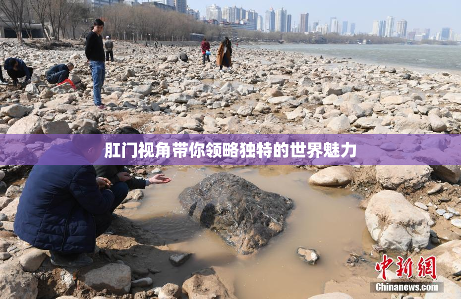 肛门视角带你领略独特的世界魅力