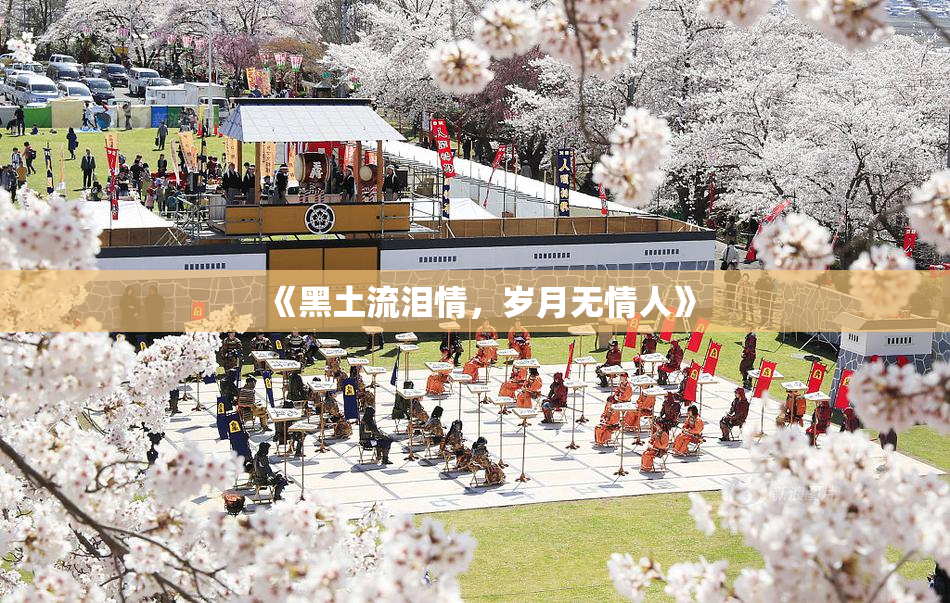 《黑土流泪情，岁月无情人》