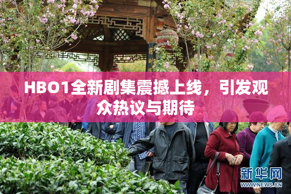 HBO1全新剧集震撼上线，引发观众热议与期待