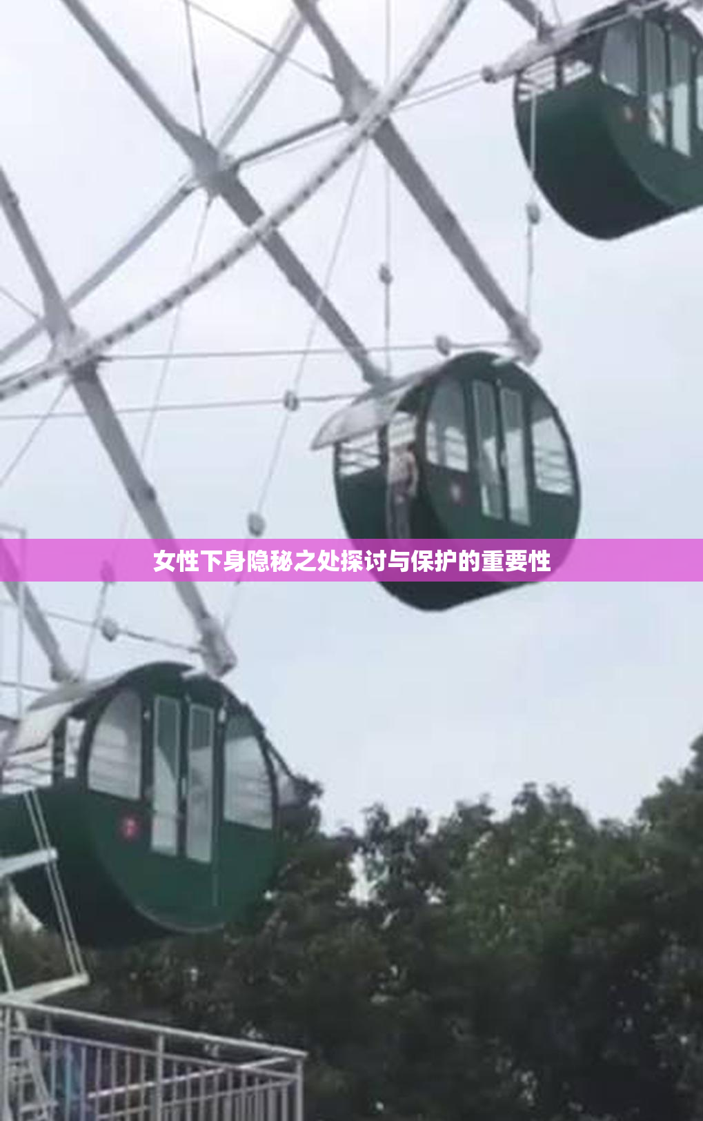 女性下身隐秘之处探讨与保护的重要性