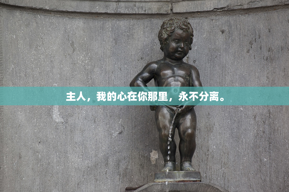 主人，我的心在你那里，永不分离。