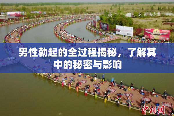 男性勃起的全过程揭秘，了解其中的秘密与影响