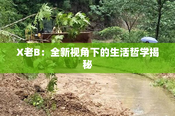X老B：全新视角下的生活哲学揭秘