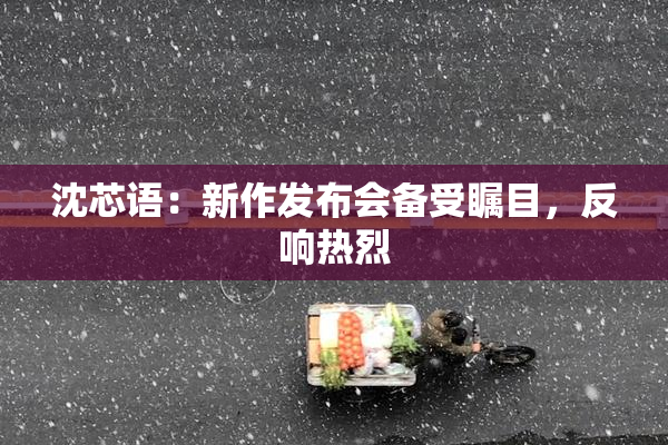 沈芯语：新作发布会备受瞩目，反响热烈