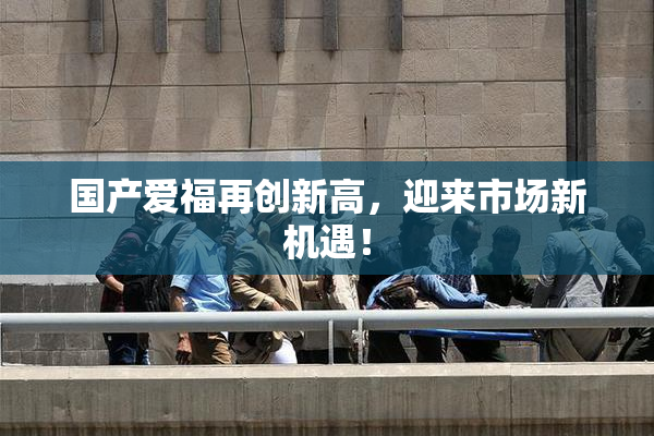 国产爱福再创新高，迎来市场新机遇！