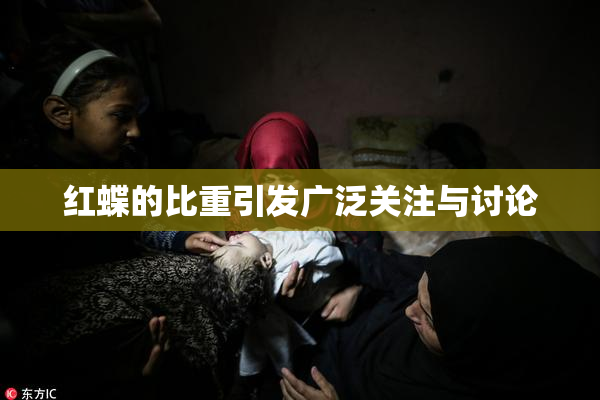 红蝶的比重引发广泛关注与讨论