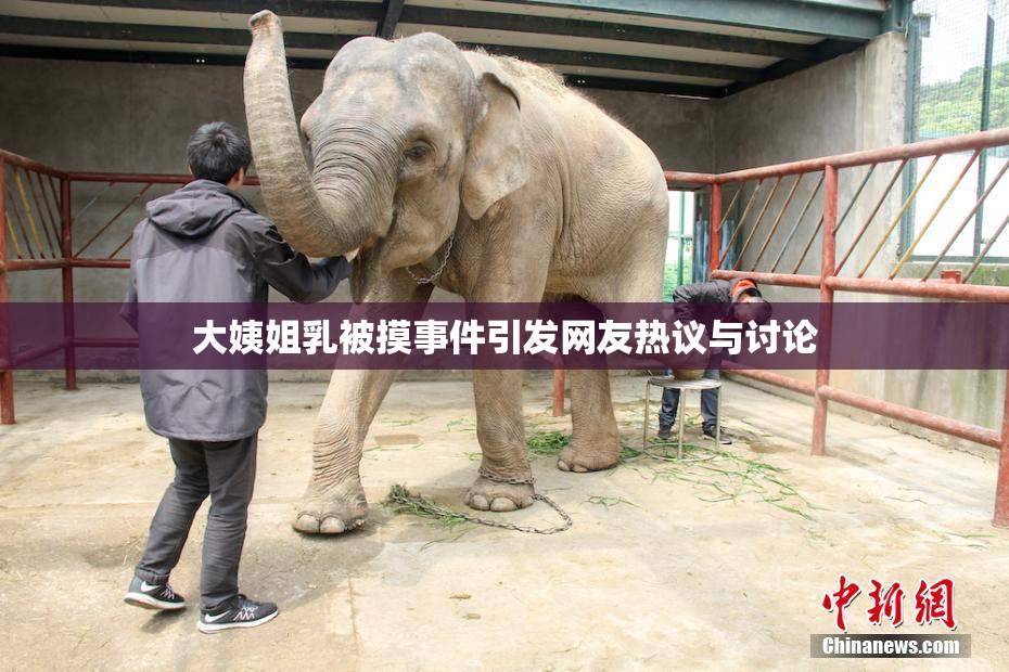 大姨姐乳被摸事件引发网友热议与讨论
