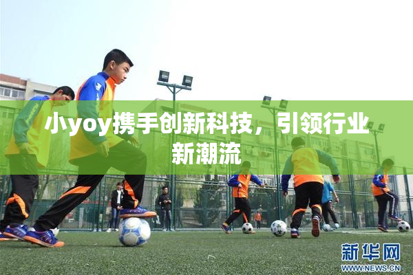 小yoy携手创新科技，引领行业新潮流