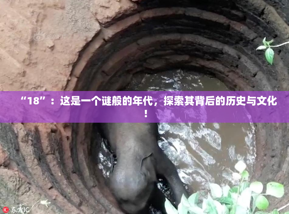 “18”：这是一个谜般的年代，探索其背后的历史与文化！