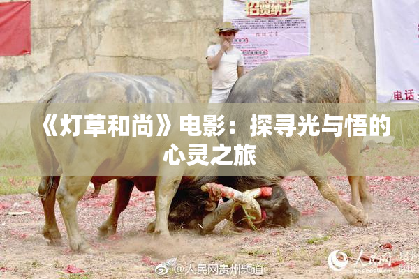 《灯草和尚》电影：探寻光与悟的心灵之旅
