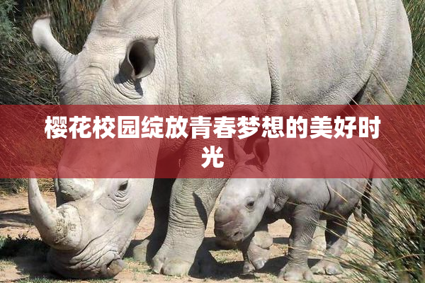 樱花校园绽放青春梦想的美好时光